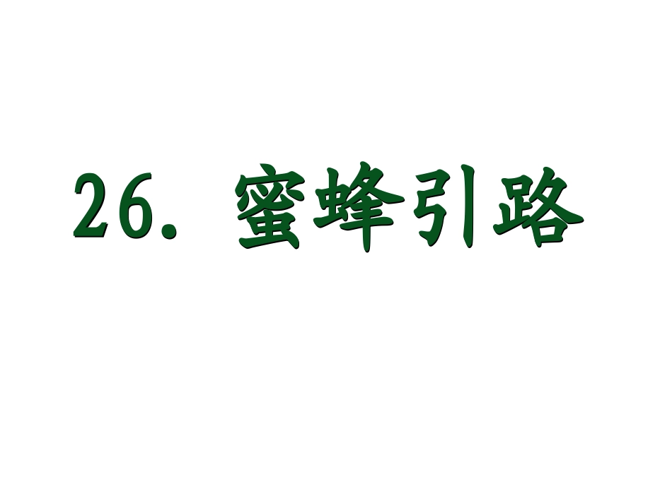 蜜蜂引路曦的公开课课件 _第1页