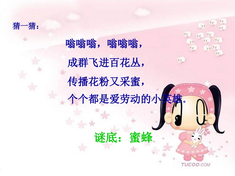 蜜蜂引路曦的公开课课件 _第2页