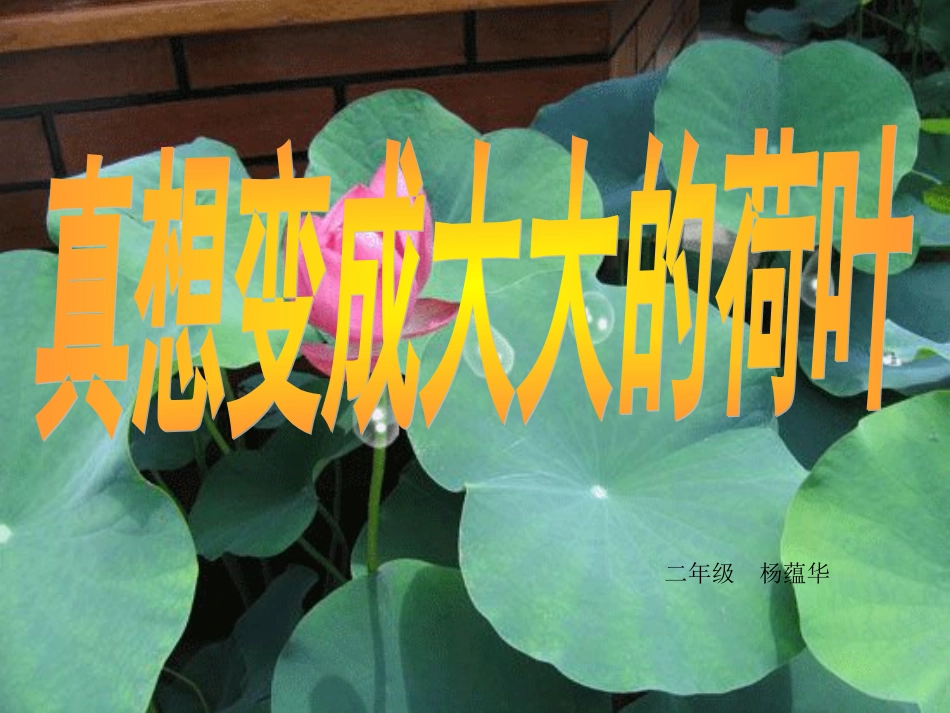 《真想变成大大的荷叶》课件_第1页