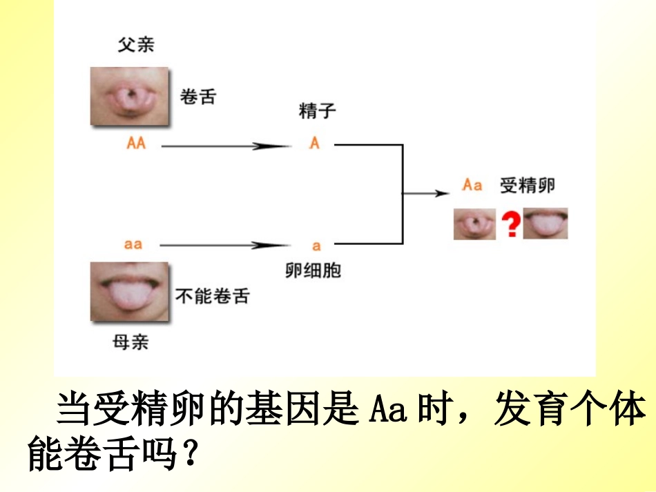 基因的显性和隐性_第3页