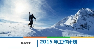 2014简约大气工作总结模板