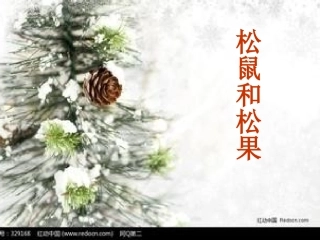 松鼠和松果课件PPT人教版
