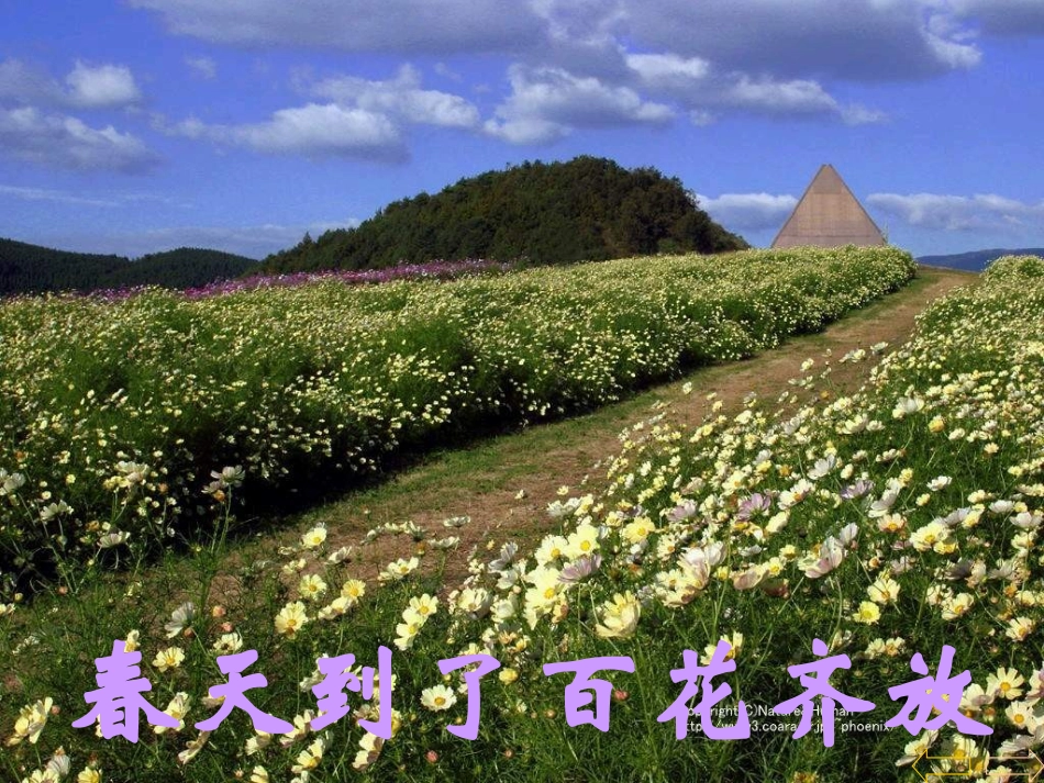 解决问题加减两步计算_第2页