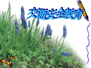 交通、法制安全教育”课件