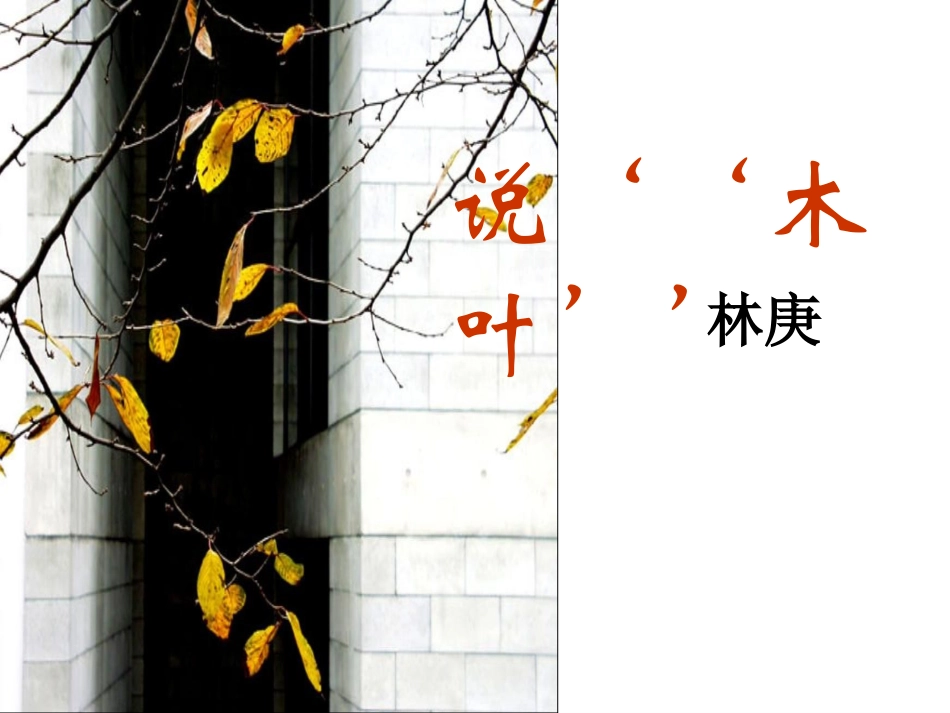 《说“木叶”》_第1页