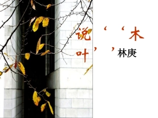 《说“木叶”》