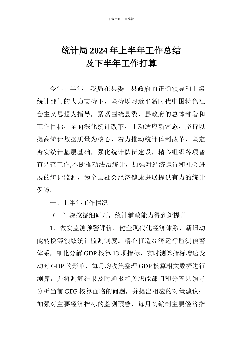 统计局2024年上半年工作总结及下半年工作打算_第1页