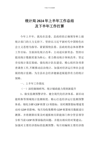 统计局2024年上半年工作总结及下半年工作打算