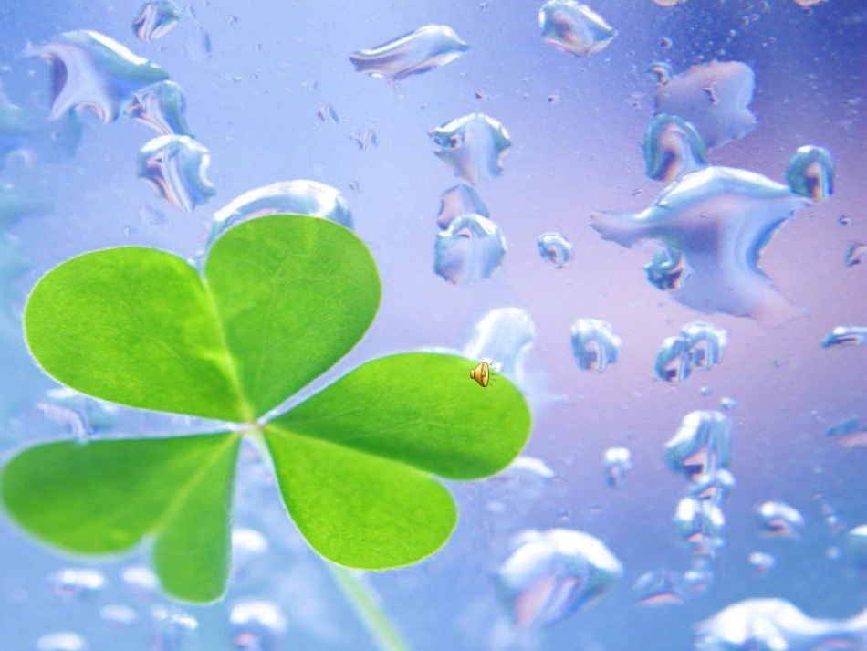 彩色的小雨点_第3页