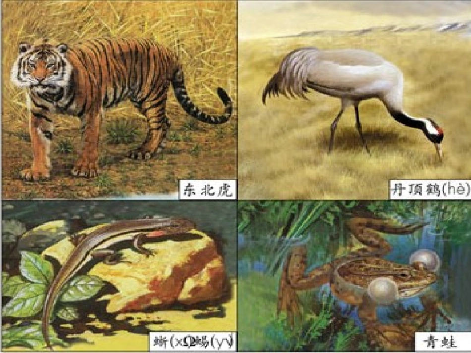 两位数加两位数的连续进位加法_第2页