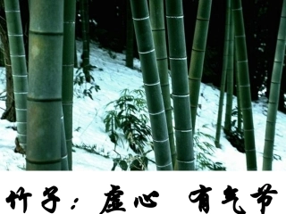 作文指导_托物言志