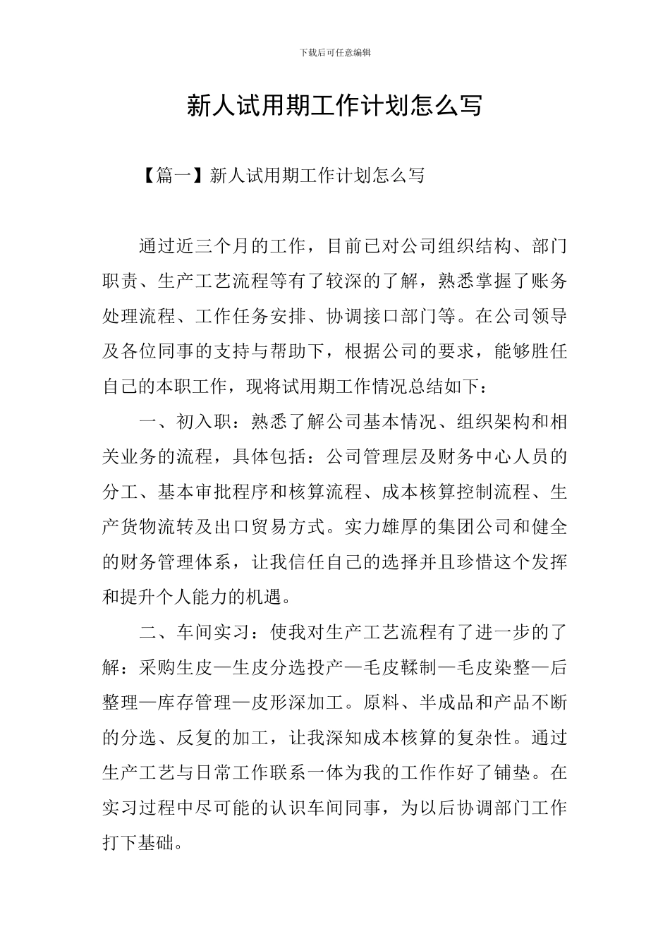 新人试用期工作计划怎么写_第1页