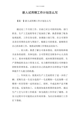 新人试用期工作计划怎么写