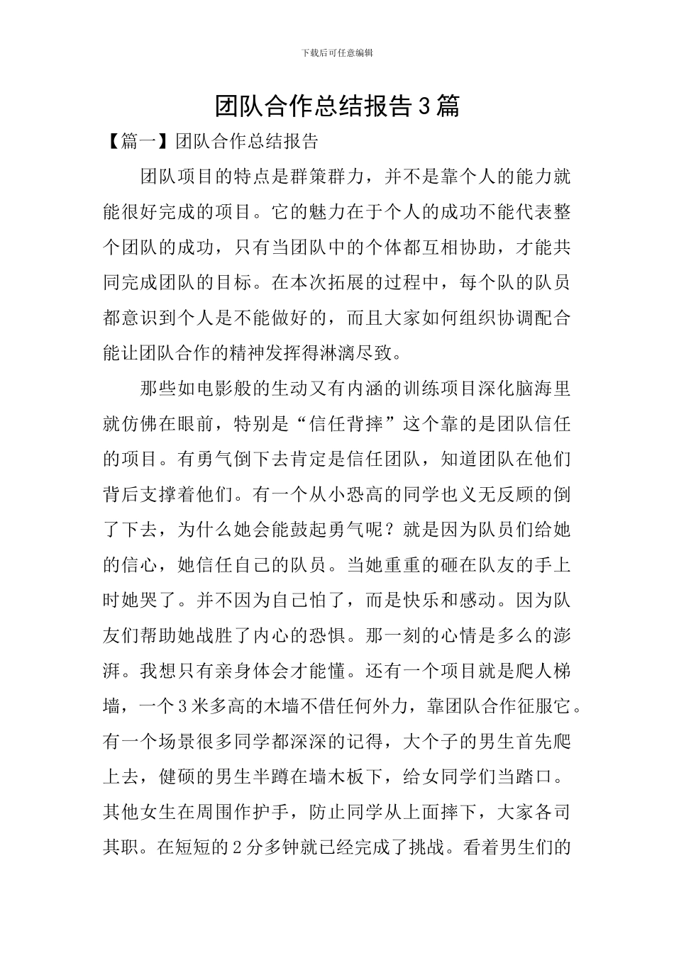 团队合作总结报告3篇_第1页