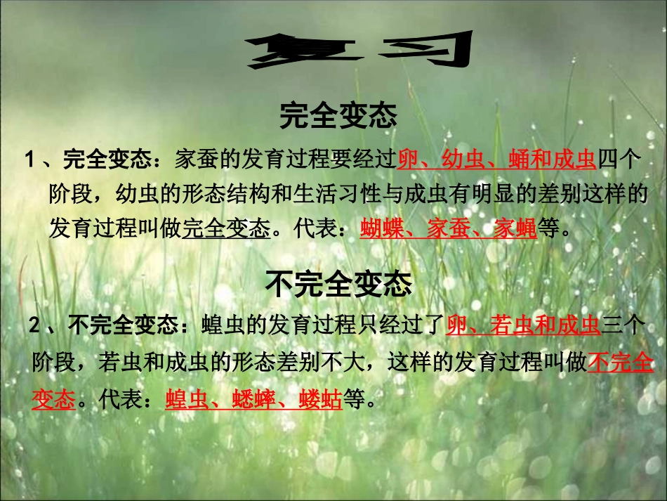 两栖动物的生殖与发育_第1页