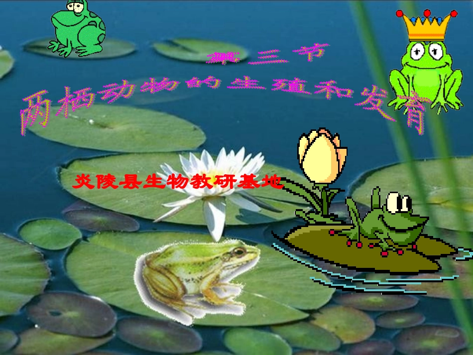 两栖动物的生殖与发育_第2页