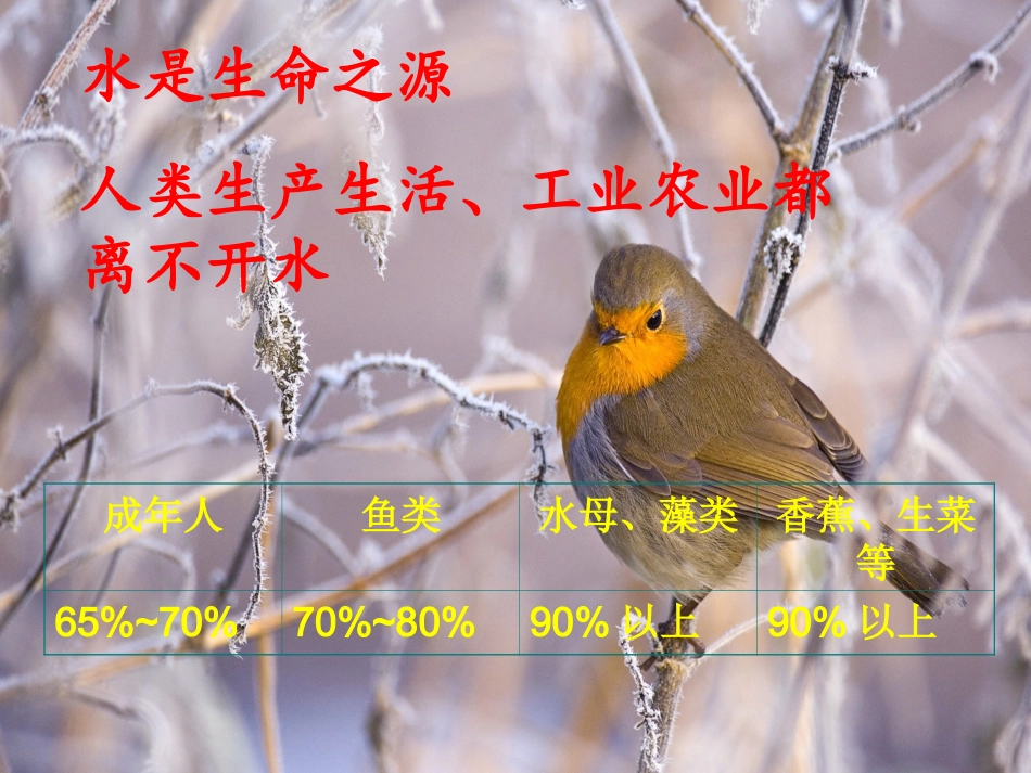 自然界中的水_第2页