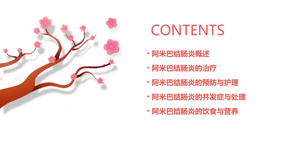 阿米巴结肠炎护理课件_第2页