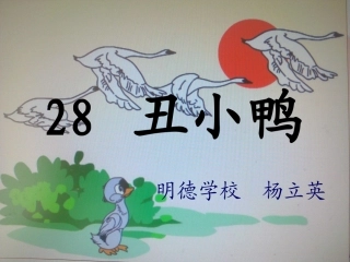 丑小鸭永威课件