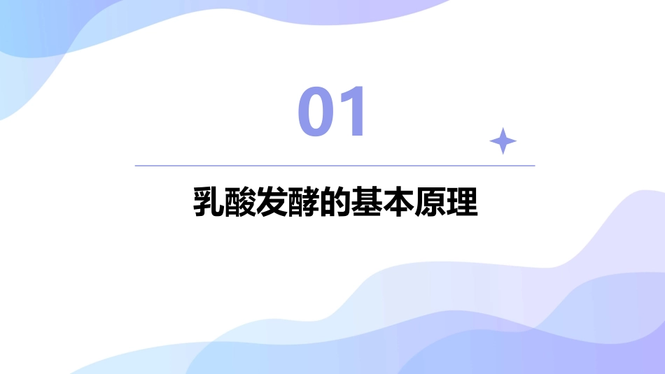 乳酸发酵和乳酸菌饮料的制备护理课件_第3页