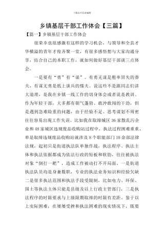 乡镇基层干部工作体会