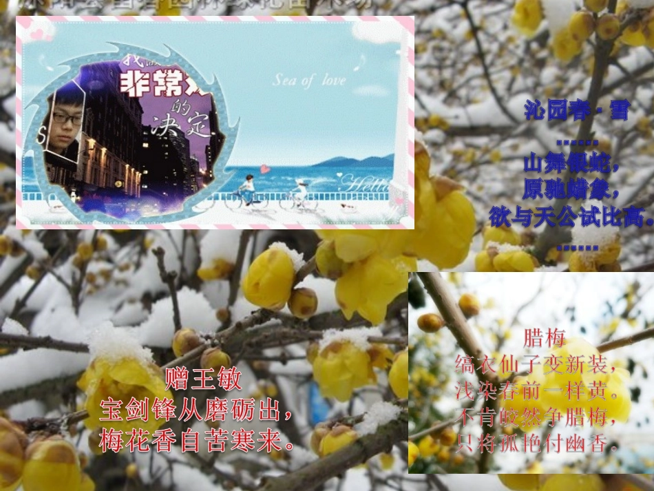 2015年元月生日_第2页