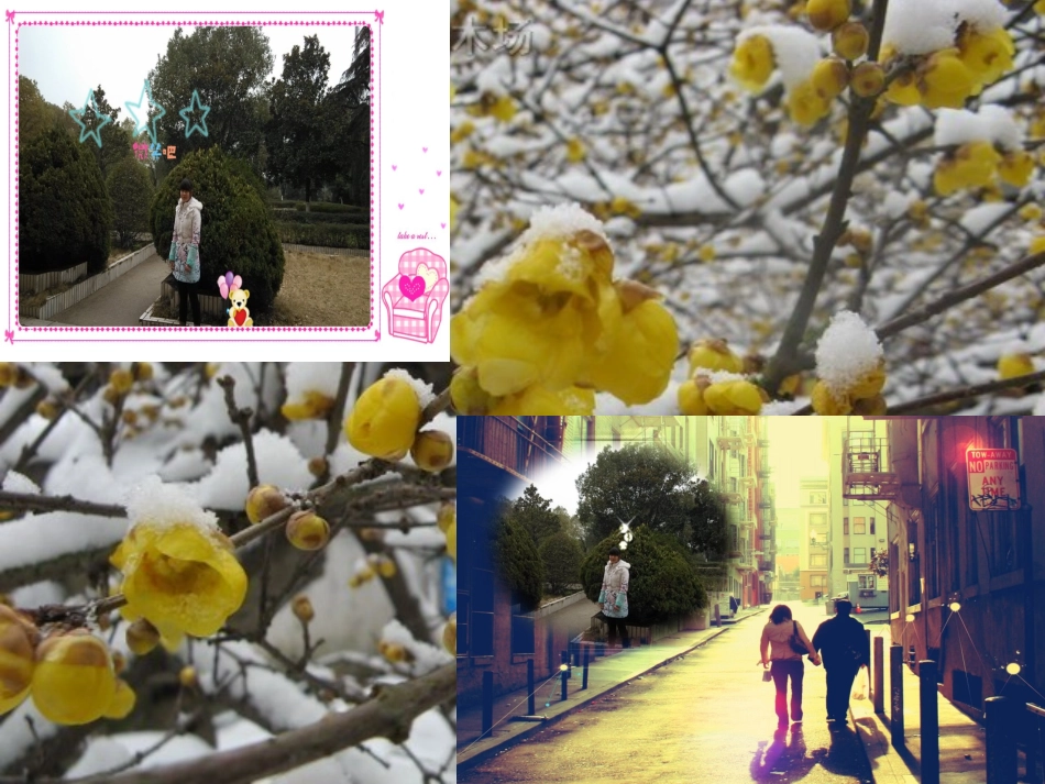 2015年元月生日_第3页