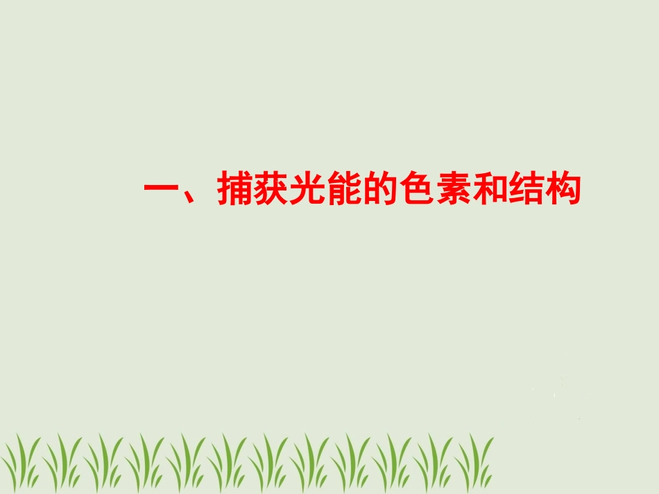 高一生物：必修1：54光合作用_第2页