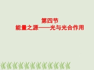 高一生物：必修1：54光合作用