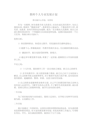 教师个人专业发展计划