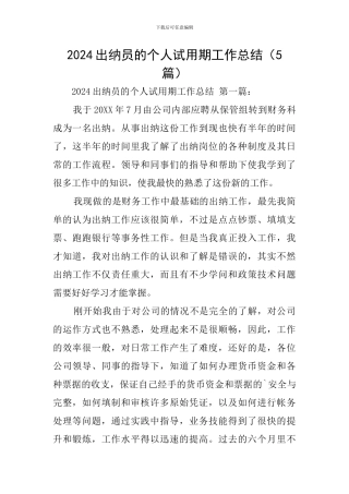 2024出纳员的个人试用期工作总结