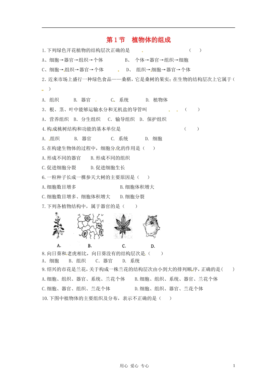 七年级生物下册-8.1《植物体的组成》同步练习-苏科版_第1页