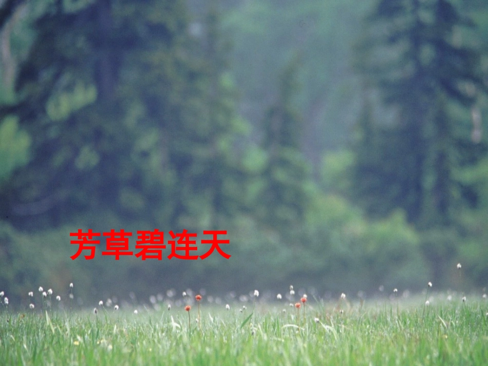 《豆腐颂》课件_第3页
