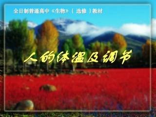 体温调节huang(11)
