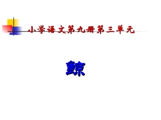 人教版小学语文第九册《鲸》课件