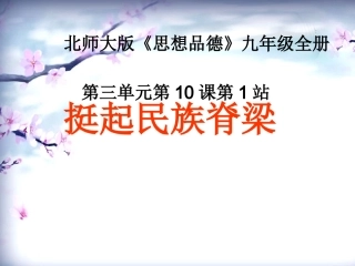 《挺起民族的脊梁》说课课件