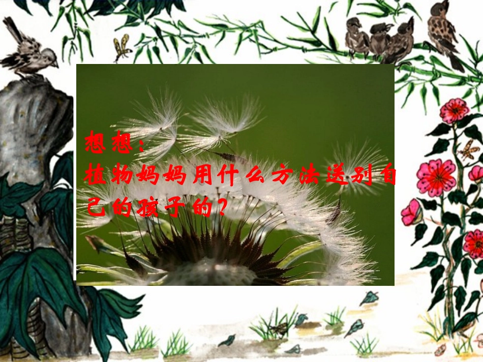 (7_植物妈妈有办法_11_第2页