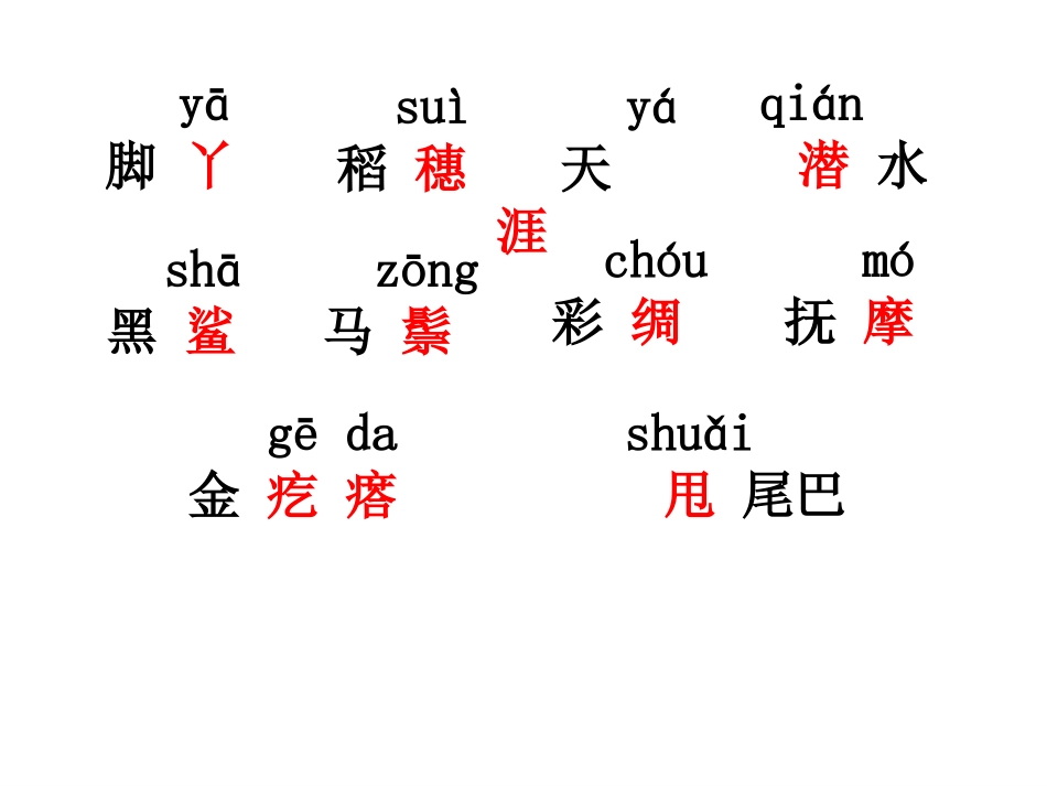 《看浪花》课件_第3页