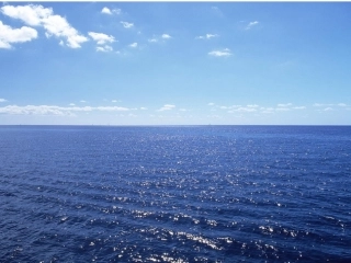 《看浪花》课件