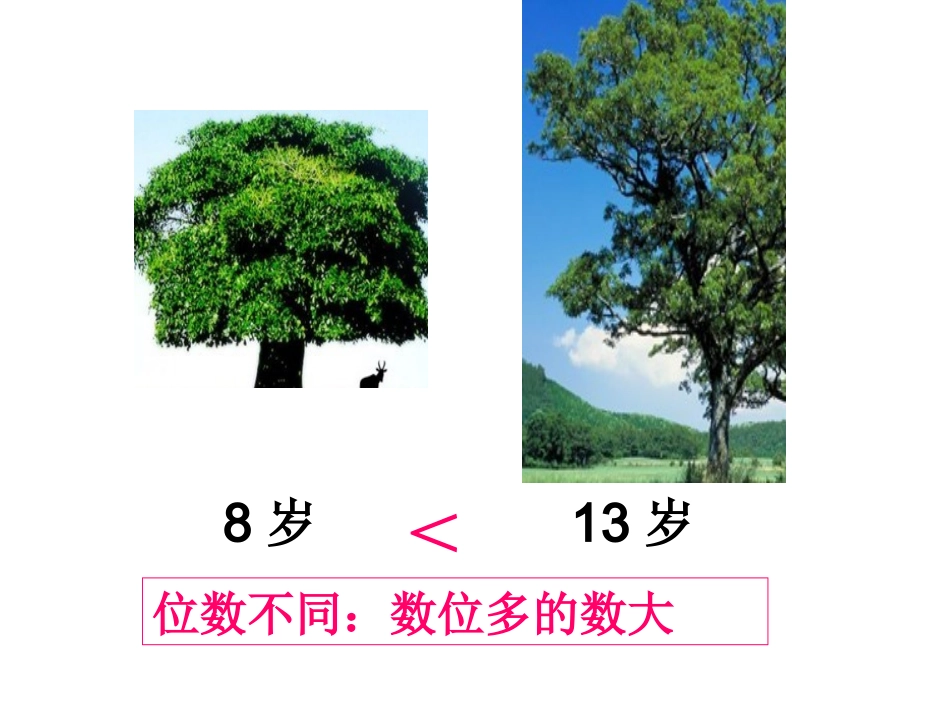 千以内数的大小比较_第2页