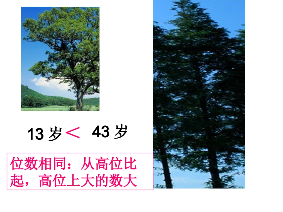 千以内数的大小比较_第3页