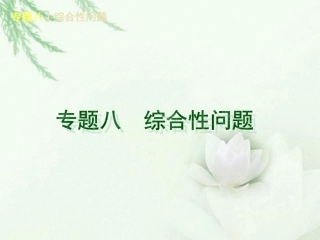 (河北专用)2013届中考数学复习方案-专题八-综合性问题课件-新人教版