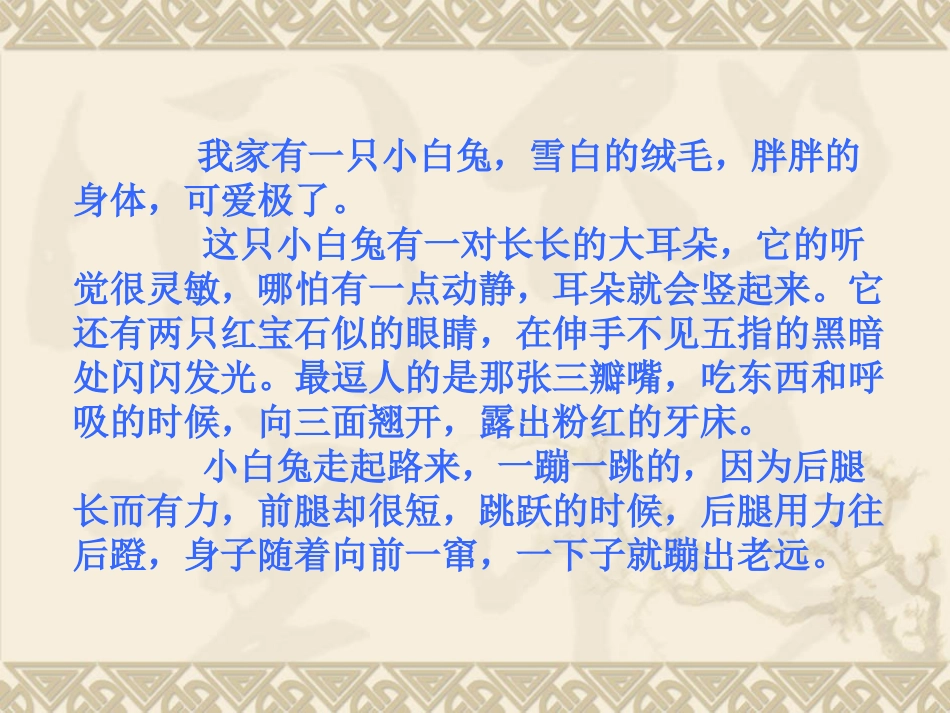 描写一种小动物_第1页