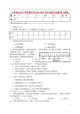 山西省农业大学附属中学2013届中考化学练兵试题-新人教版