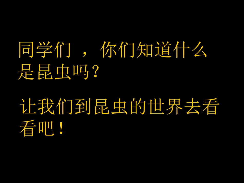 人美版第三册《我和昆虫》课件_第2页
