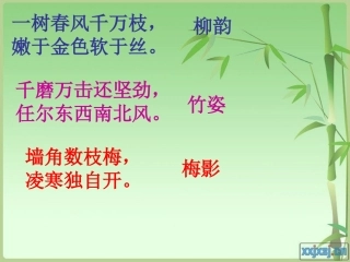 白杨礼赞 (2)