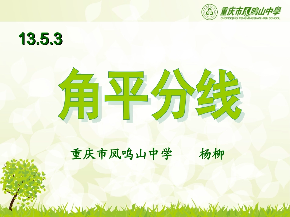 初中数学角平分线_第1页