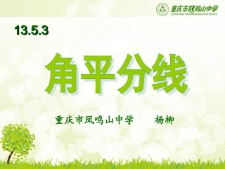 初中数学角平分线