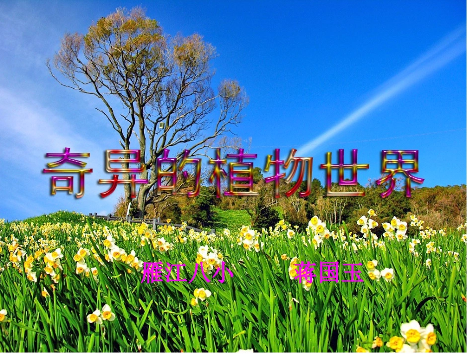 蒋国玉奇异的植物世界_第1页