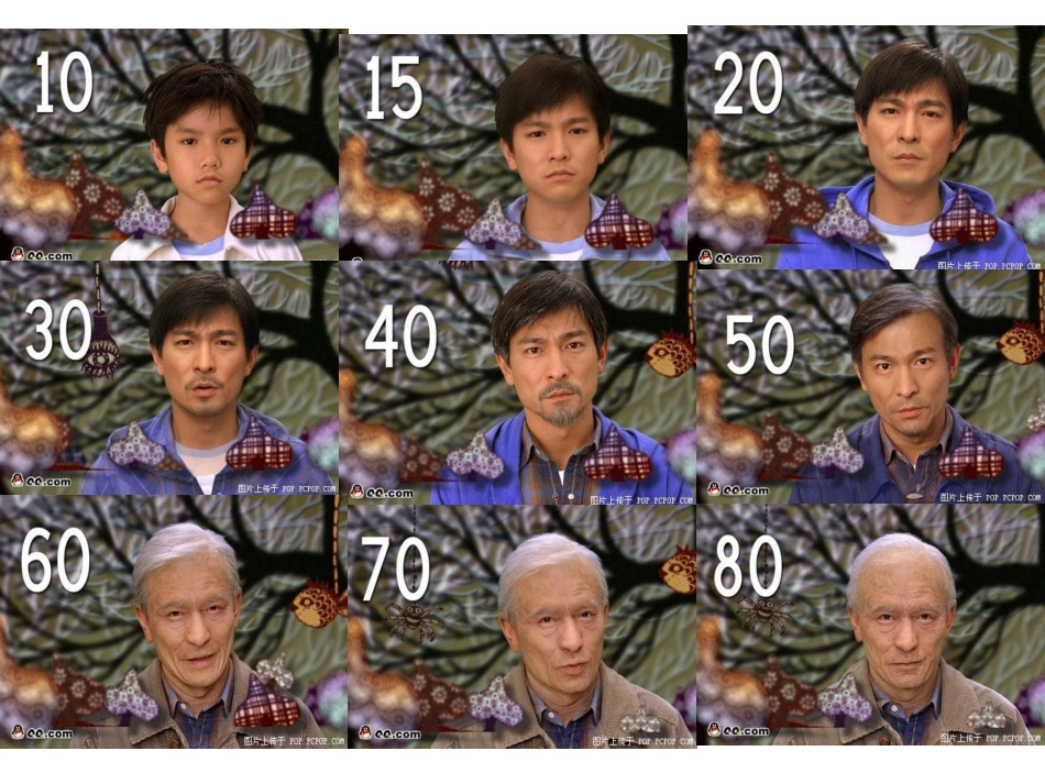 细胞的衰老和凋亡_细胞的癌变_第2页